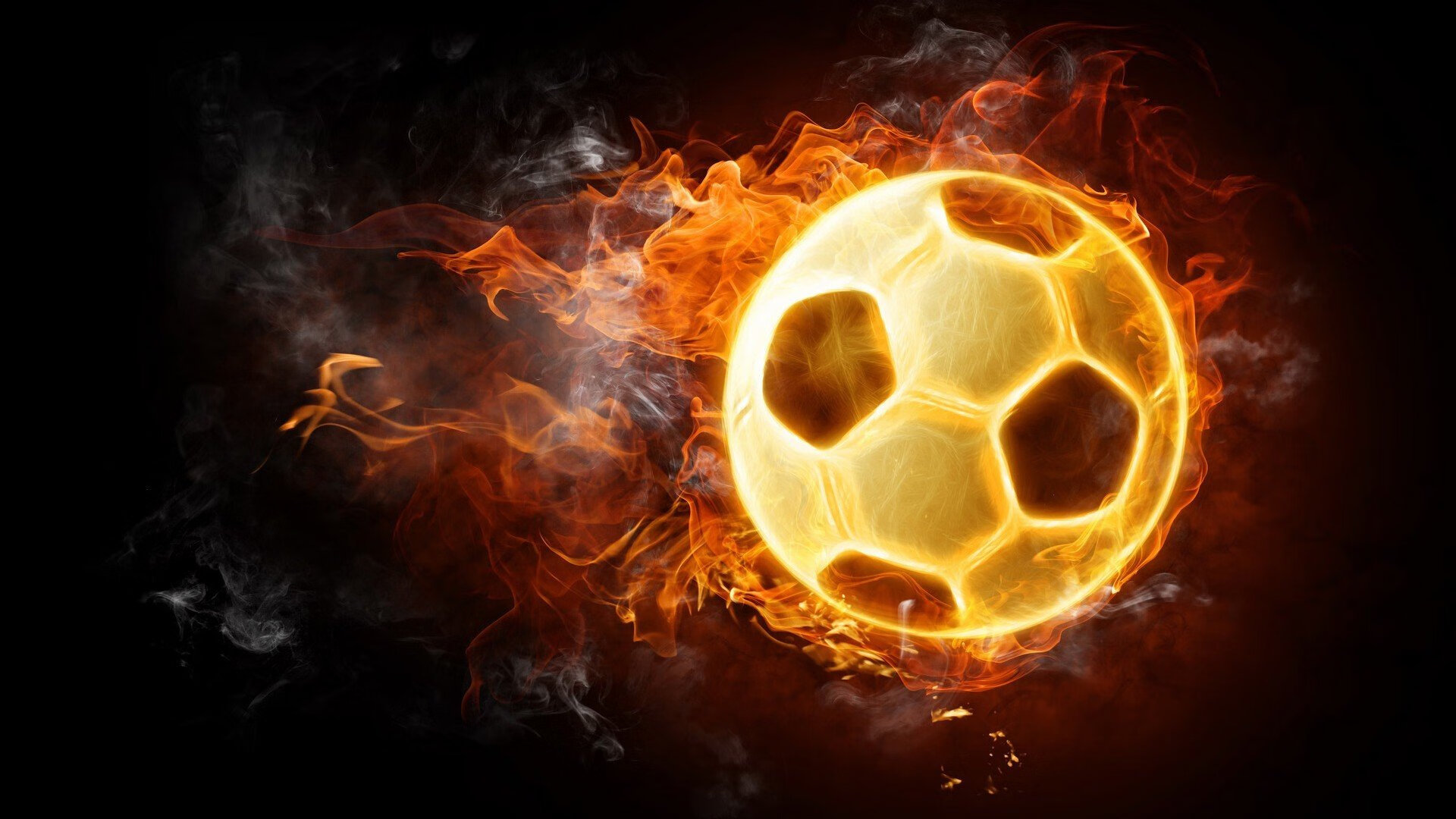 AYX体育-黄蜂球迷参与“设计主场助威动作”比赛，黄蜂球队